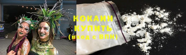 гидра Билибино