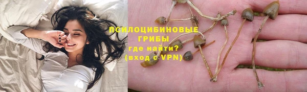 MDMA Premium VHQ Вяземский