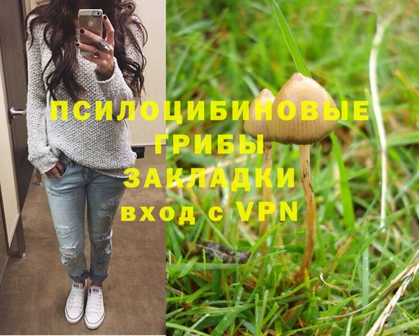 гидра Билибино