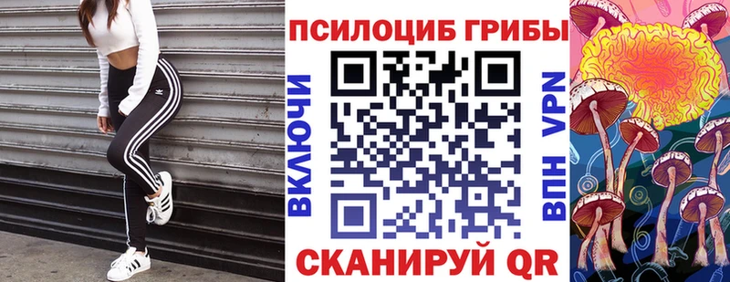 Псилоцибиновые грибы GOLDEN TEACHER  Апшеронск 