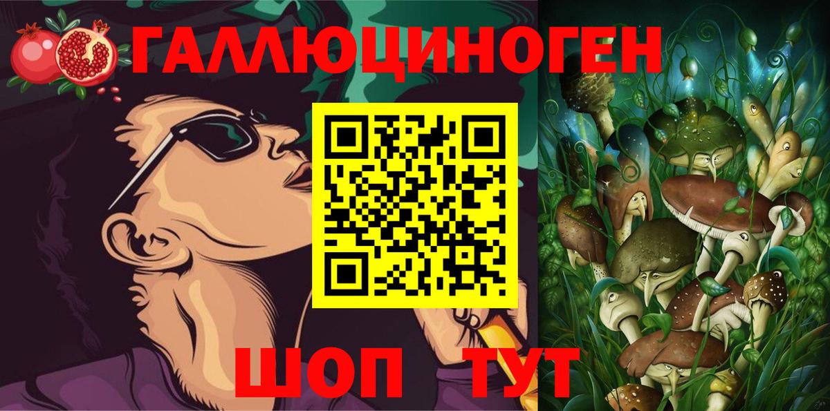 Галлюциногенные грибы прущие грибы  Апшеронск 